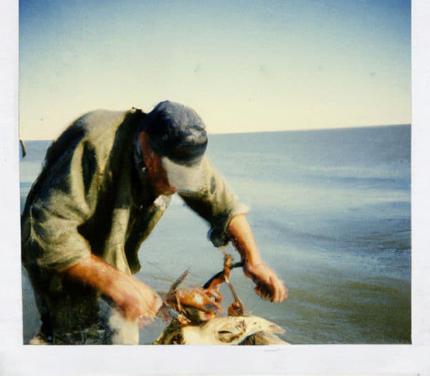 Angelo Seafood Market